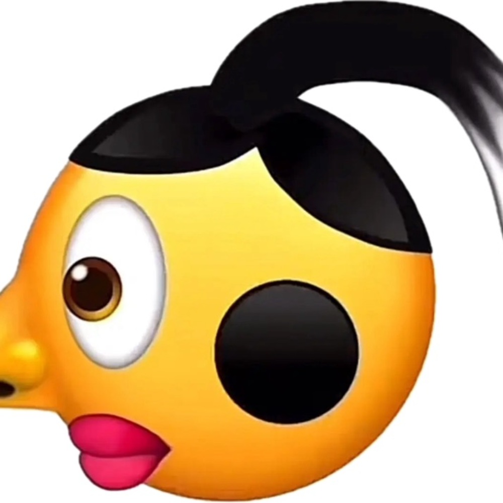 Meet your Posher, Annity